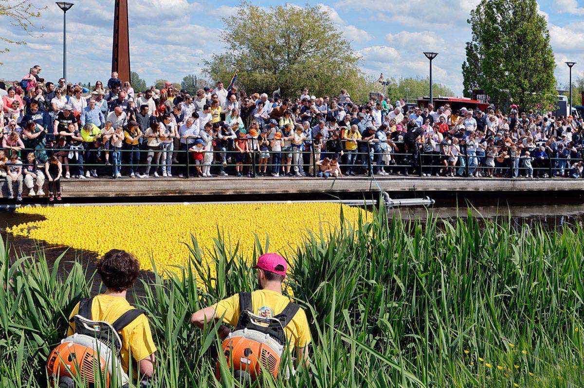 Duck Fest Gistel