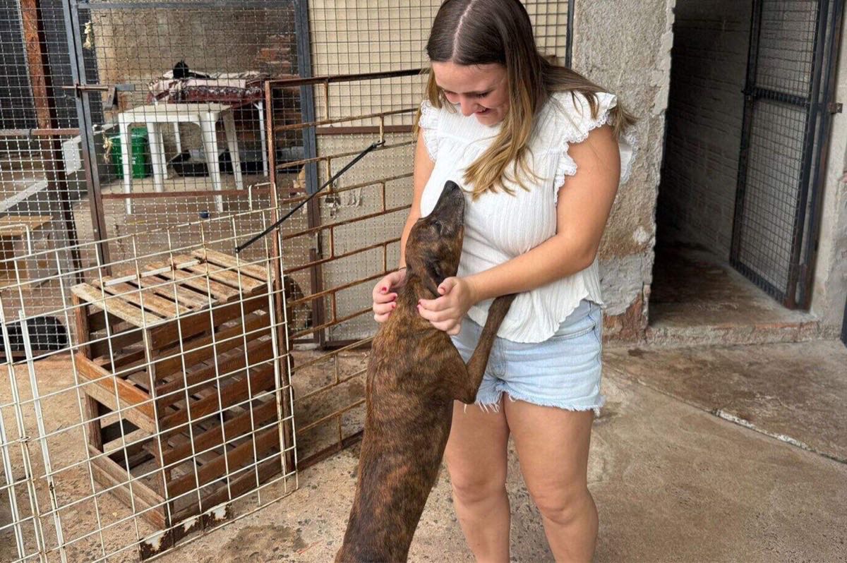 Femke avec les chats du refuge animalier de Londrina