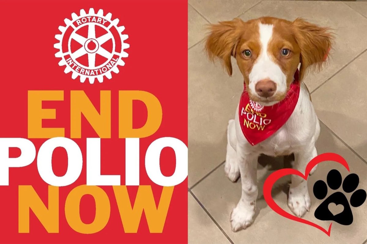 Le Kennel Klub du Rotary pour la lutte contre la polio