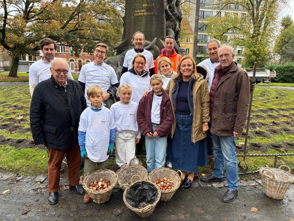 Plantation de tulipes à Kortrijk près du monument Groeninghe